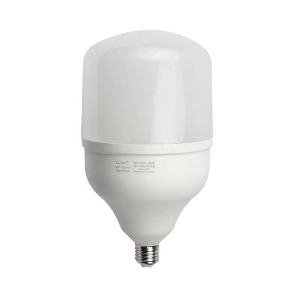 Lâmpada LED Bulbo 20W LWG
