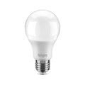 Lâmpada LED Elgin Bulbo 6500K Bivolt